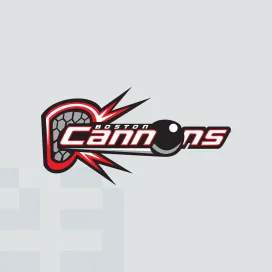 Boston cannons